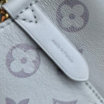 Louis Vuitton Neonoe BB M12749 Gray